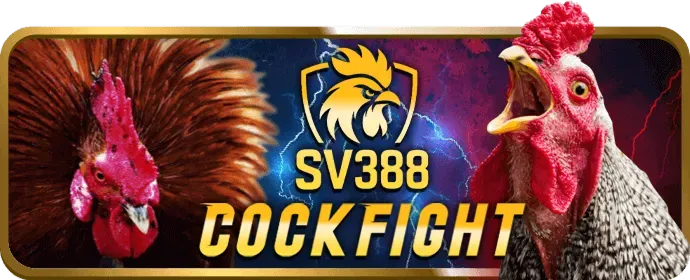 Mẹo chơi nổ hũ open8808